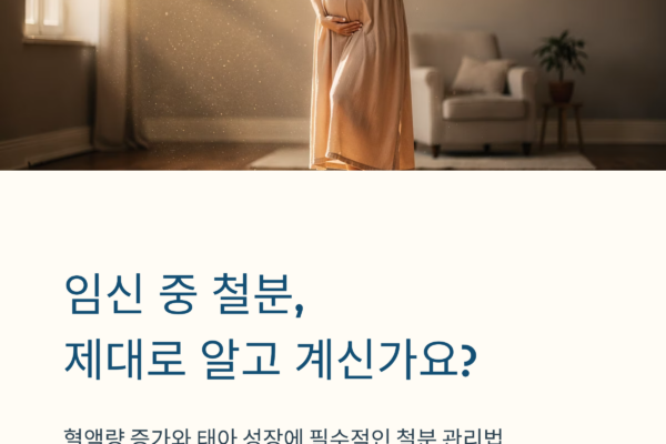 임산부 철분 태아 성장과 혈액량 증가 필요 관리법, 임신 시기별 필요성·복용 기준·주의사항 안내